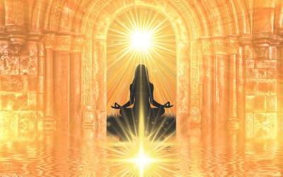 TRANSCENDANCE ✨